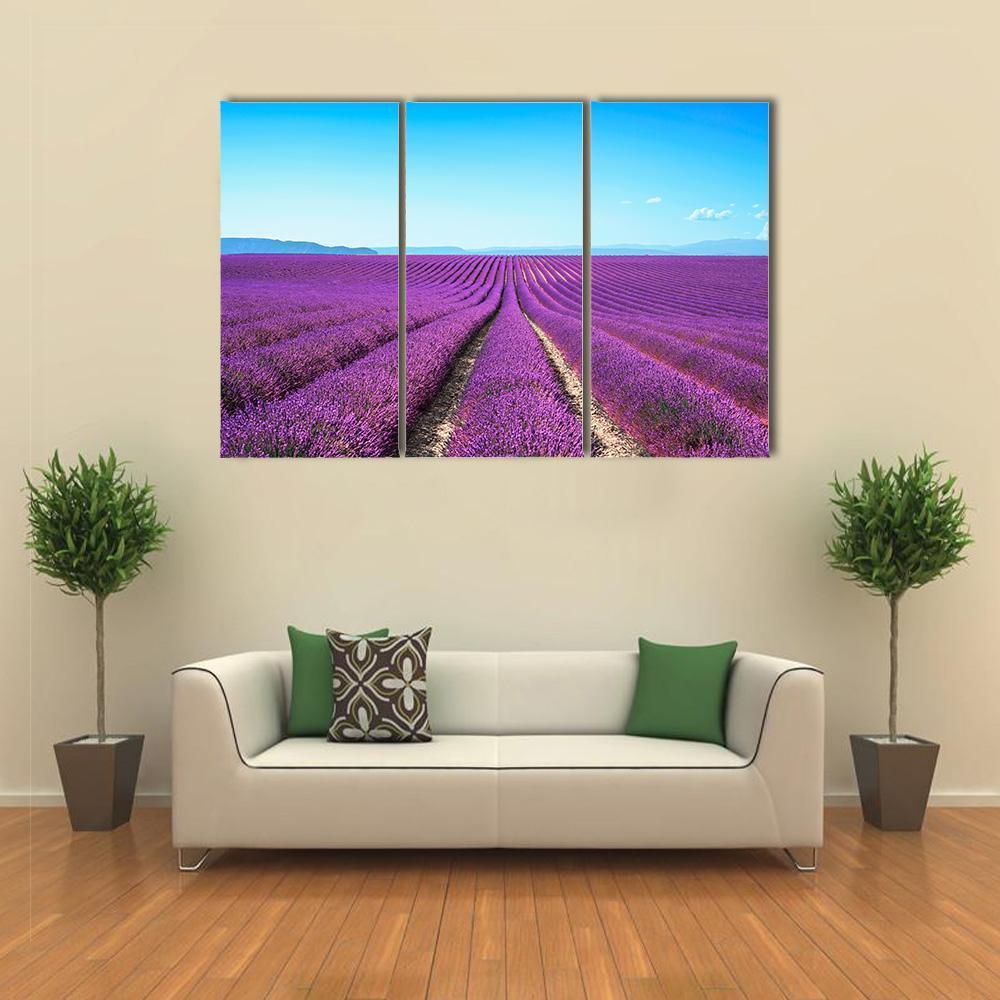 Lavender Flowers Field Canvas Wall Art-3 Horizontal-Gallery Wrap-37" x 24"-Tiaracle