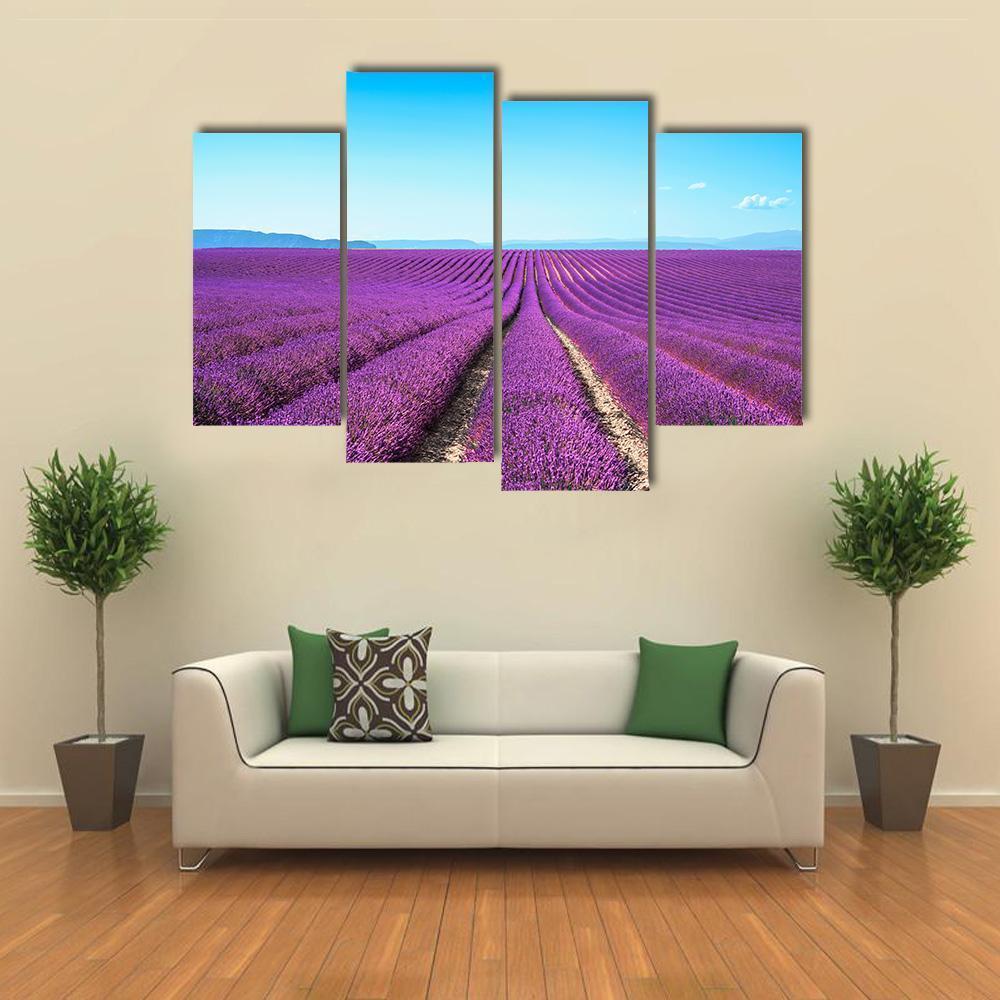 Lavender Flowers Field Canvas Wall Art-4 Pop-Gallery Wrap-50" x 32"-Tiaracle