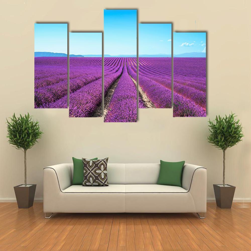 Lavender Flowers Field Canvas Wall Art-5 Pop-Gallery Wrap-47" x 32"-Tiaracle