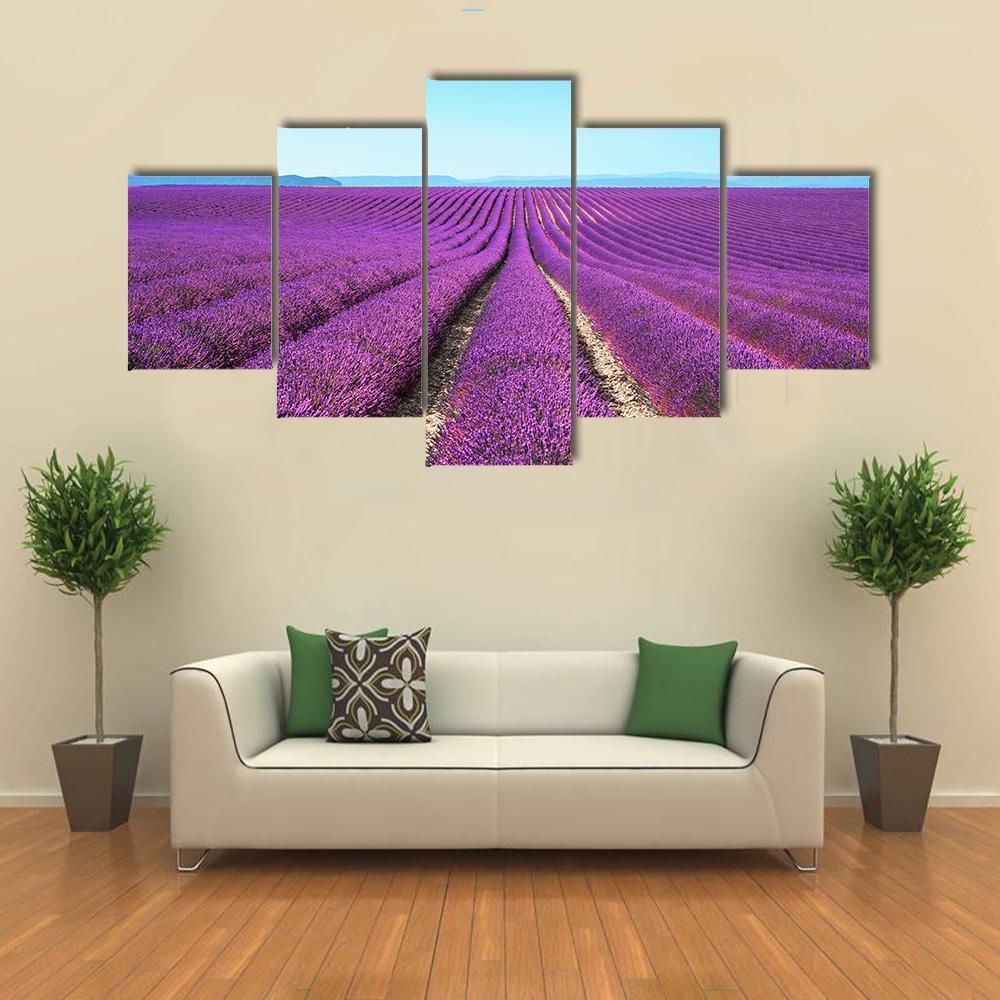 Lavender Flowers Field Canvas Wall Art-5 Star-Gallery Wrap-62" x 32"-Tiaracle