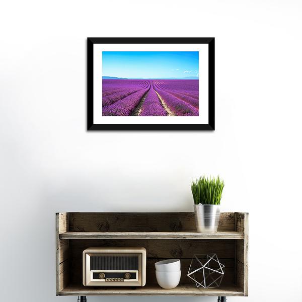 Lavender Flowers Field Canvas Wall Art-1 Piece-Framed Print-20" x 16"-Tiaracle