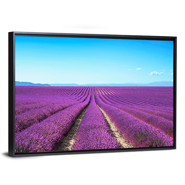 Lavender Flowers Field Canvas Wall Art-3 Horizontal-Gallery Wrap-25" x 16"-Tiaracle