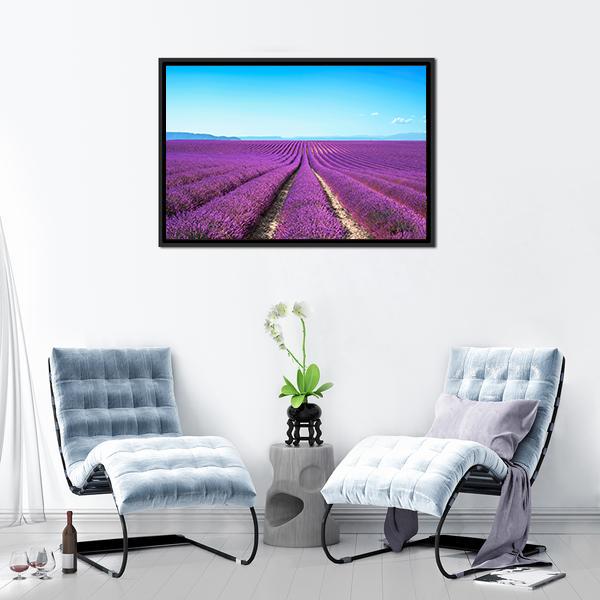 Lavender Flowers Field Canvas Wall Art-3 Horizontal-Gallery Wrap-25" x 16"-Tiaracle