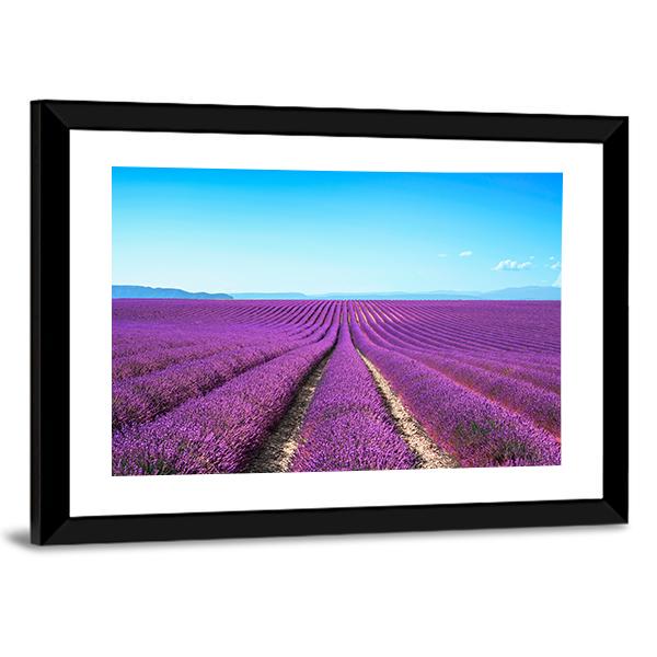 Lavender Flowers Field Canvas Wall Art-3 Horizontal-Gallery Wrap-25" x 16"-Tiaracle