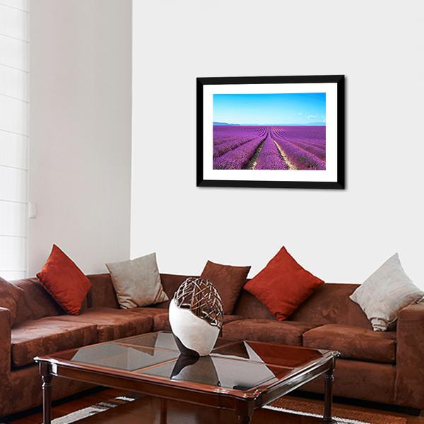 Lavender Flowers Field Canvas Wall Art-3 Horizontal-Gallery Wrap-25" x 16"-Tiaracle