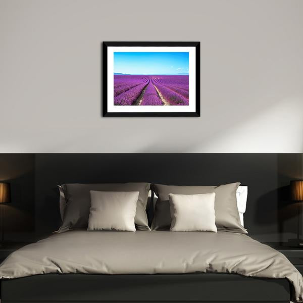 Lavender Flowers Field Canvas Wall Art-3 Horizontal-Gallery Wrap-25" x 16"-Tiaracle