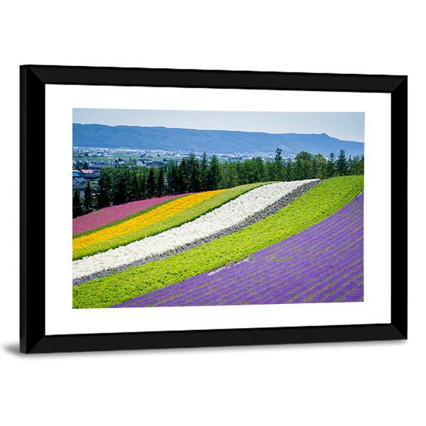 Lavender Garden In Japan Canvas Wall Art-5 Horizontal-Gallery Wrap-22" x 12"-Tiaracle