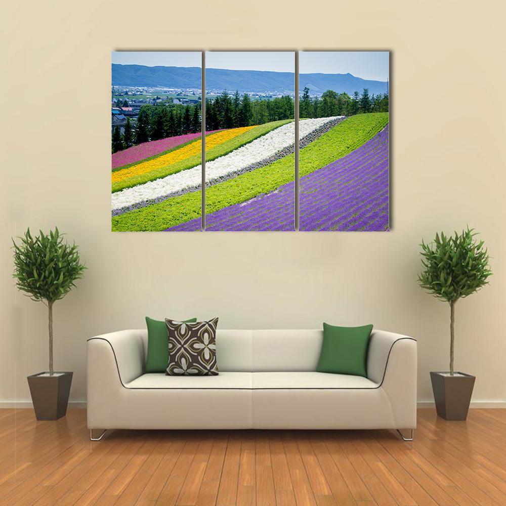 Lavender Garden In Japan Canvas Wall Art-3 Horizontal-Gallery Wrap-37" x 24"-Tiaracle