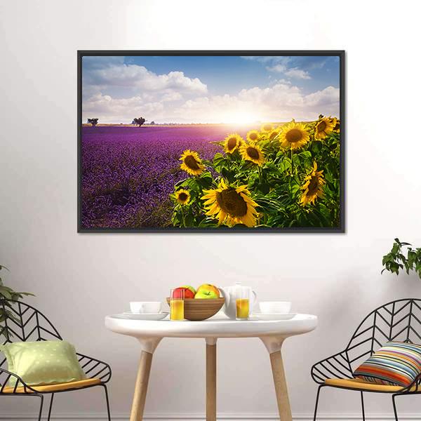 Lavender &amp; Sunflowers Fields Canvas Wall Art-3 Horizontal-Gallery Wrap-25&quot; x 16&quot;-Tiaracle