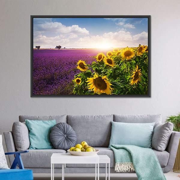 Lavender &amp; Sunflowers Fields Canvas Wall Art-3 Horizontal-Gallery Wrap-25&quot; x 16&quot;-Tiaracle