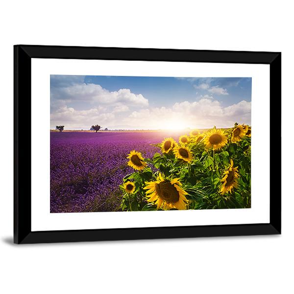 Lavender &amp; Sunflowers Fields Canvas Wall Art-3 Horizontal-Gallery Wrap-25&quot; x 16&quot;-Tiaracle