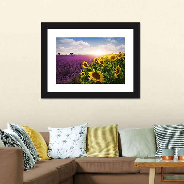 Lavender & Sunflowers Fields Canvas Wall Art-3 Horizontal-Gallery Wrap-25" x 16"-Tiaracle