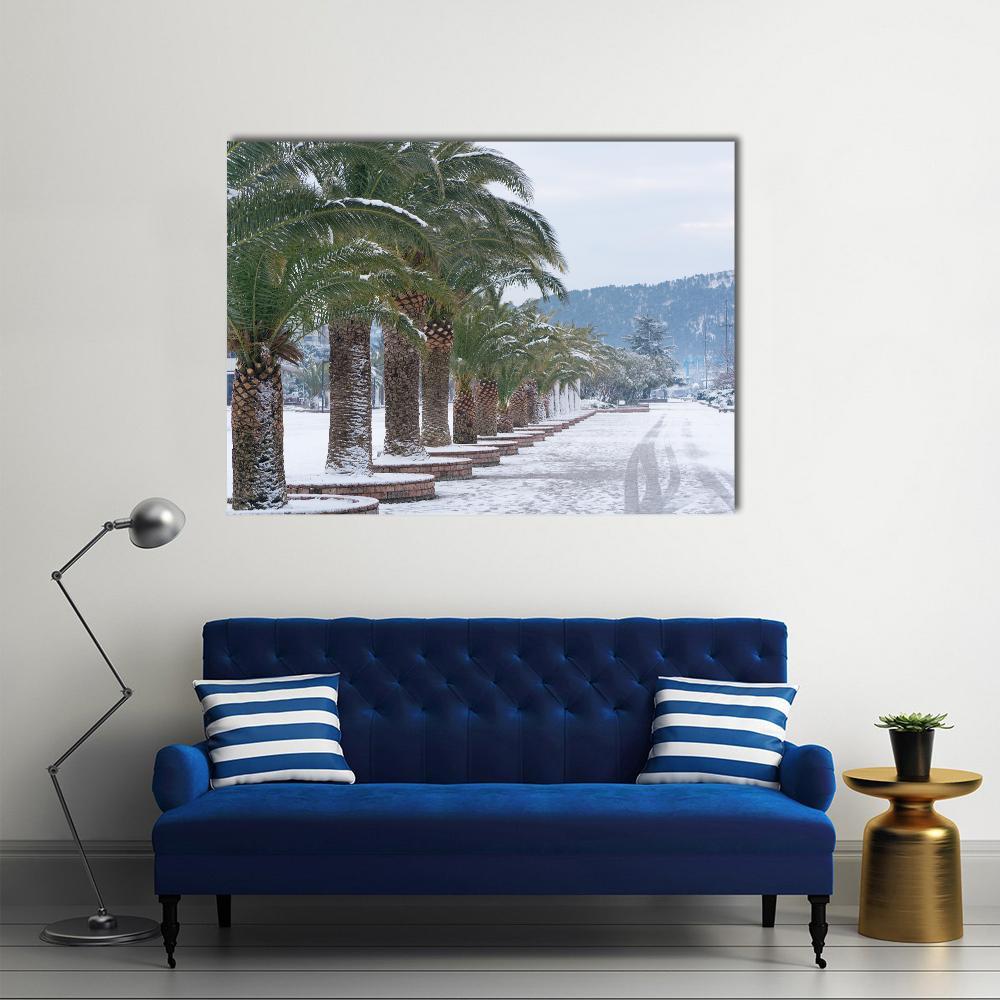 Palm Trees Covered With Snow Canvas Wall Art-1 Piece-Gallery Wrap-48" x 32"-Tiaracle