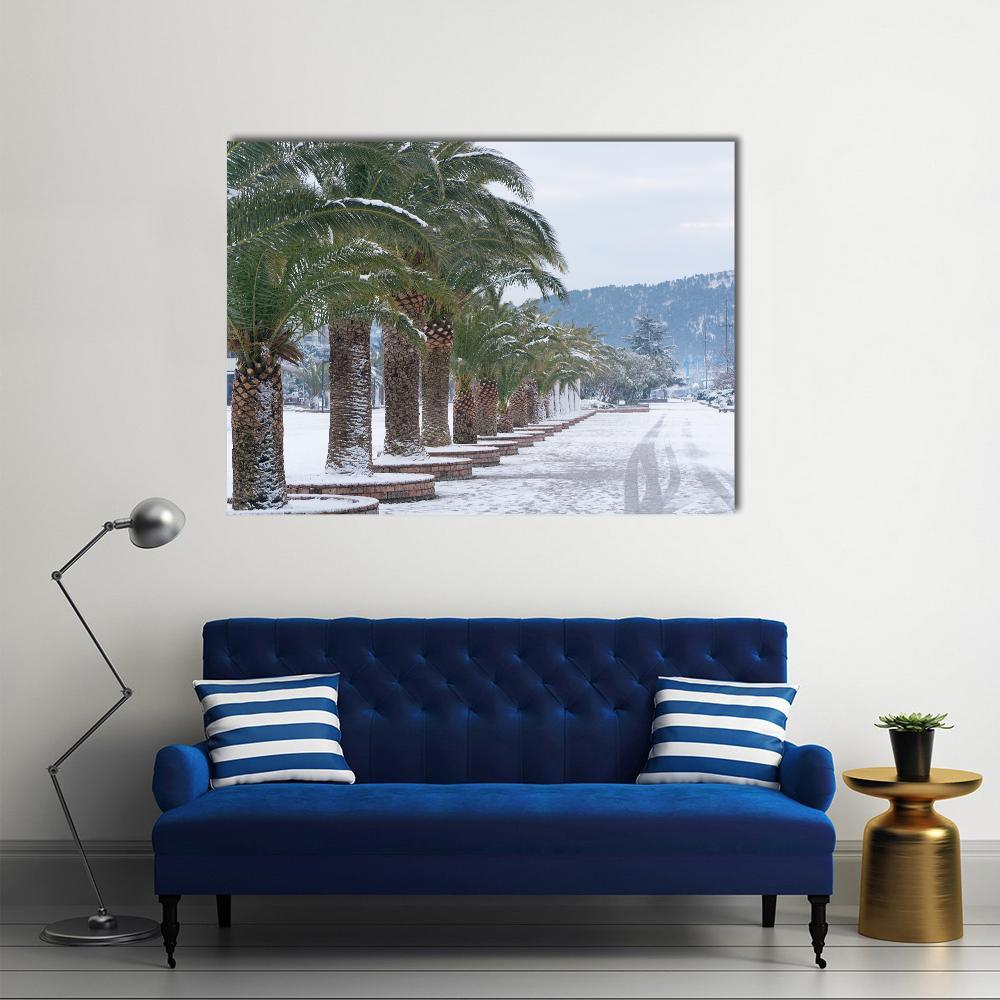 Palm Trees Covered With Snow Canvas Wall Art-3 Horizontal-Gallery Wrap-37" x 24"-Tiaracle