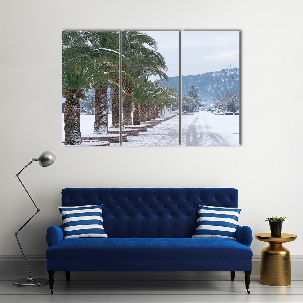 Palm Trees Covered With Snow Canvas Wall Art-3 Horizontal-Gallery Wrap-37" x 24"-Tiaracle