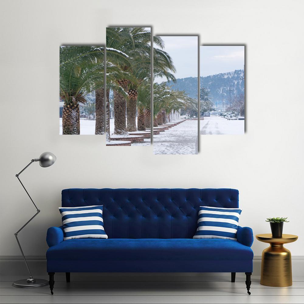 Palm Trees Covered With Snow Canvas Wall Art-4 Pop-Gallery Wrap-50" x 32"-Tiaracle
