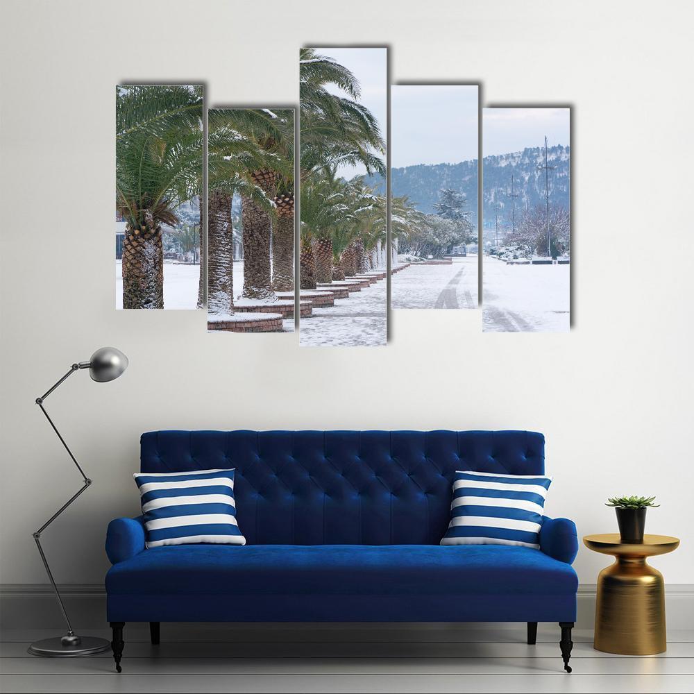 Palm Trees Covered With Snow Canvas Wall Art-5 Pop-Gallery Wrap-47" x 32"-Tiaracle