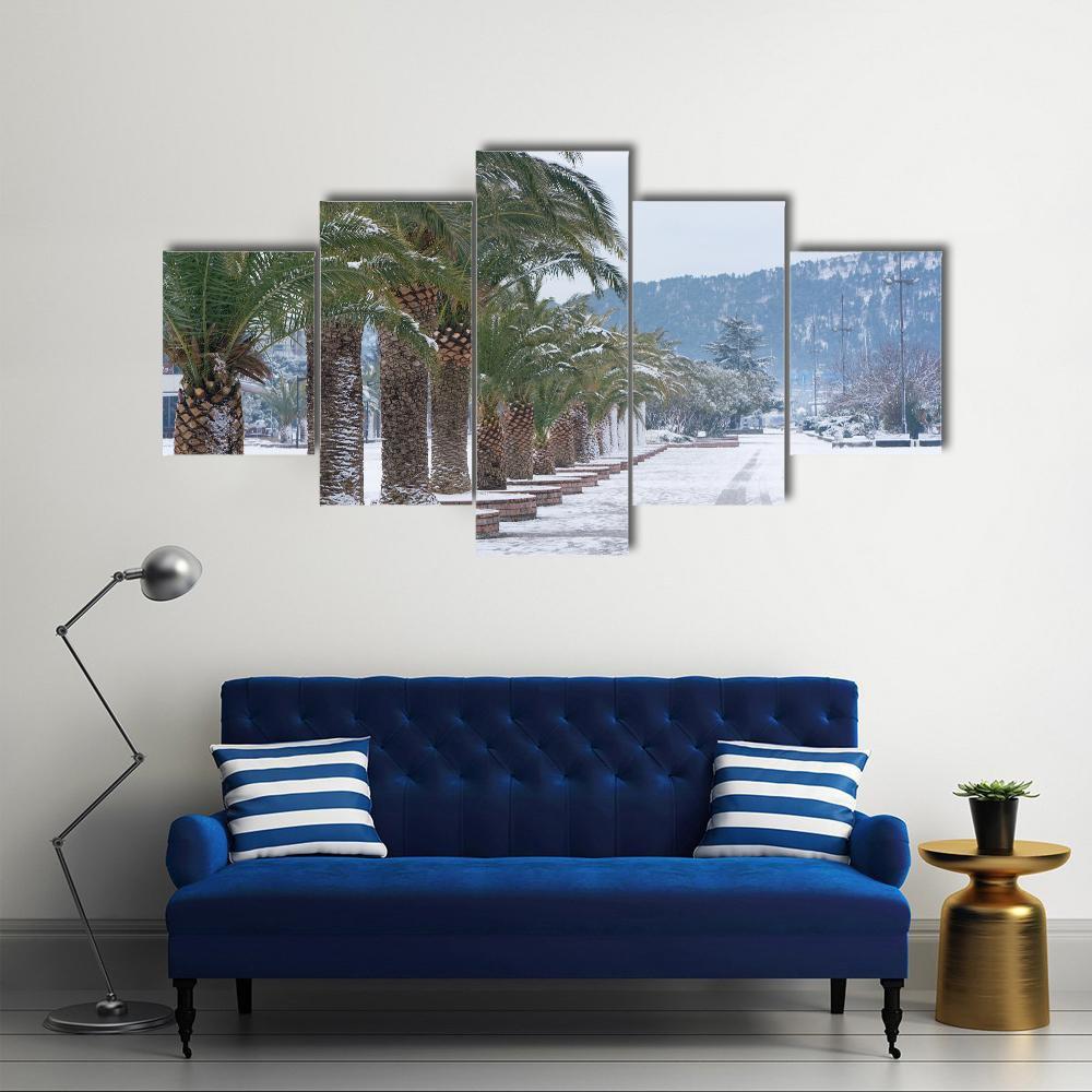 Palm Trees Covered With Snow Canvas Wall Art-5 Star-Gallery Wrap-62" x 32"-Tiaracle