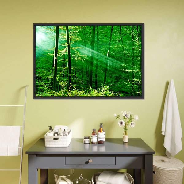 Lights Of The Forest Canvas Wall Art-1 Piece-Floating Frame-24&quot; x 16&quot;-Tiaracle