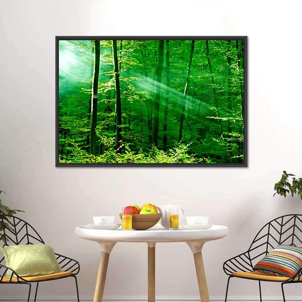 Lights Of The Forest Canvas Wall Art-3 Horizontal-Gallery Wrap-25&quot; x 16&quot;-Tiaracle