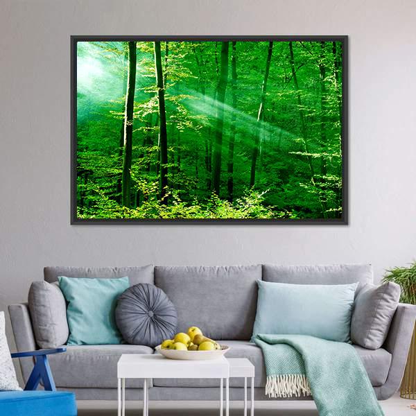 Lights Of The Forest Canvas Wall Art-3 Horizontal-Gallery Wrap-25&quot; x 16&quot;-Tiaracle