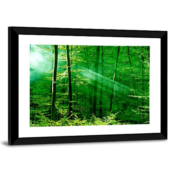 Lights Of The Forest Canvas Wall Art-3 Horizontal-Gallery Wrap-25&quot; x 16&quot;-Tiaracle