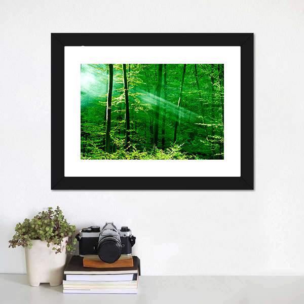 Lights Of The Forest Canvas Wall Art-1 Piece-Framed Print-20&quot; x 16&quot;-Tiaracle