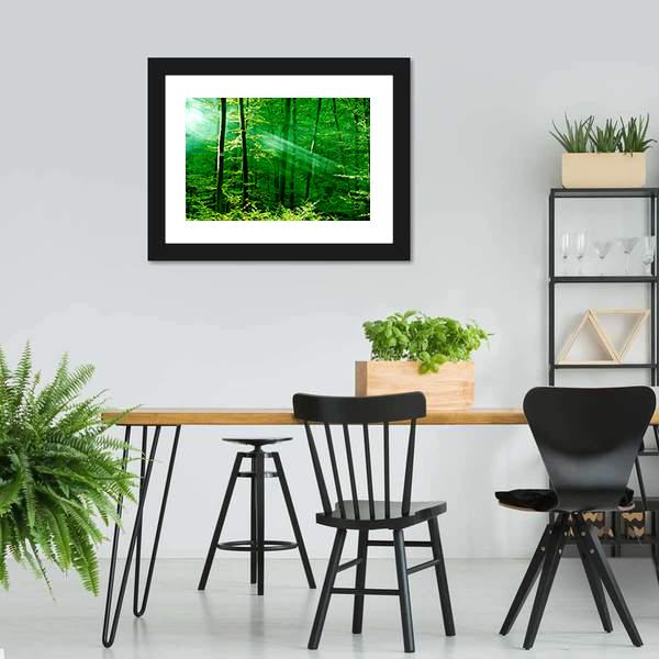 Lights Of The Forest Canvas Wall Art-3 Horizontal-Gallery Wrap-25&quot; x 16&quot;-Tiaracle
