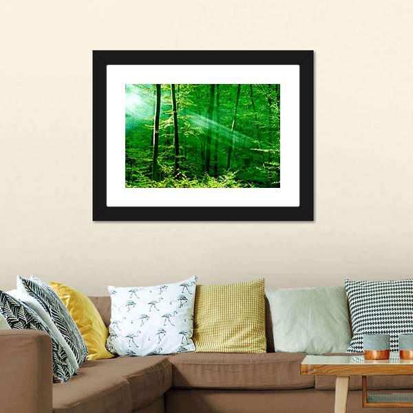 Lights Of The Forest Canvas Wall Art-3 Horizontal-Gallery Wrap-25&quot; x 16&quot;-Tiaracle