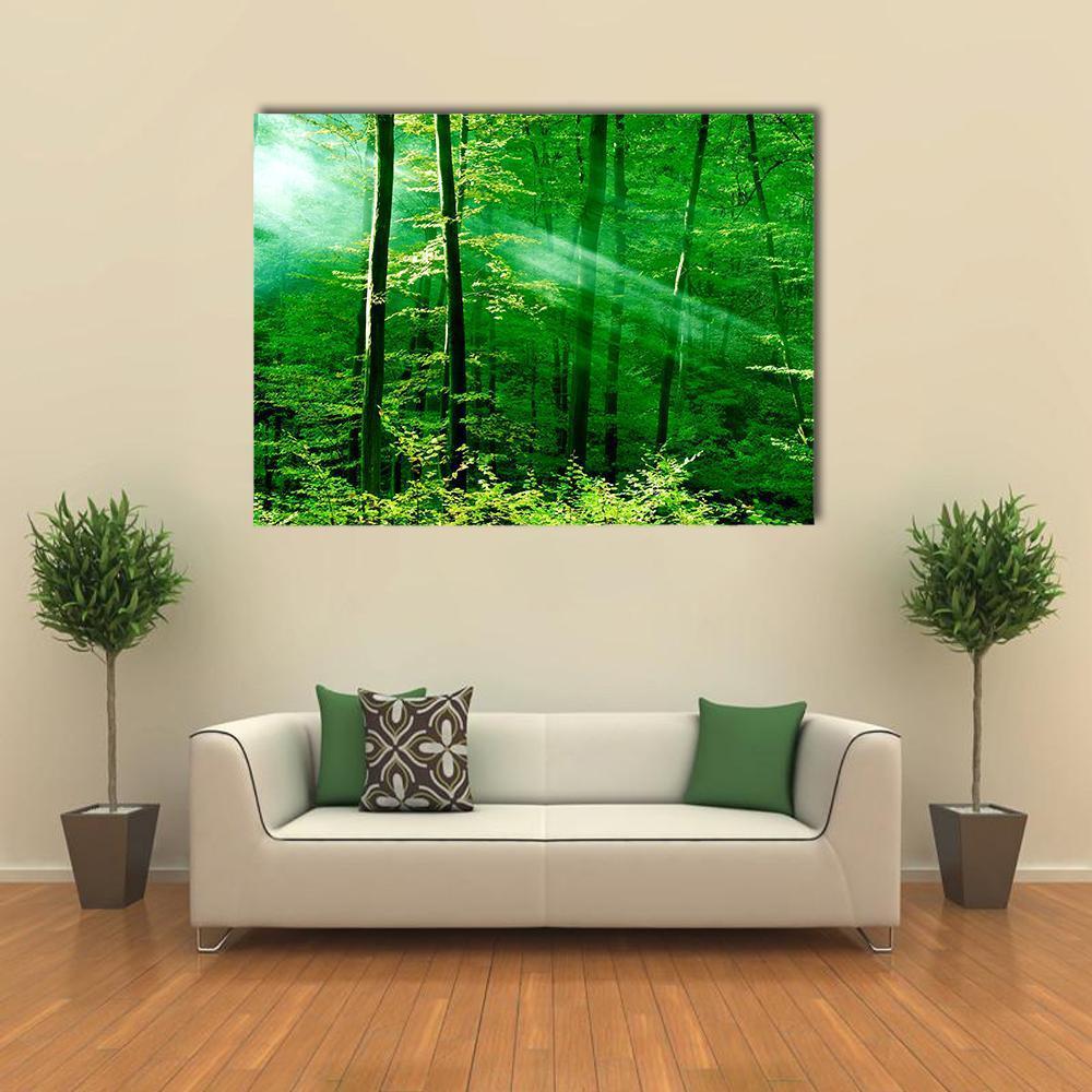 Lights Of The Forest Canvas Wall Art-1 Piece-Gallery Wrap-48&quot; x 32&quot;-Tiaracle