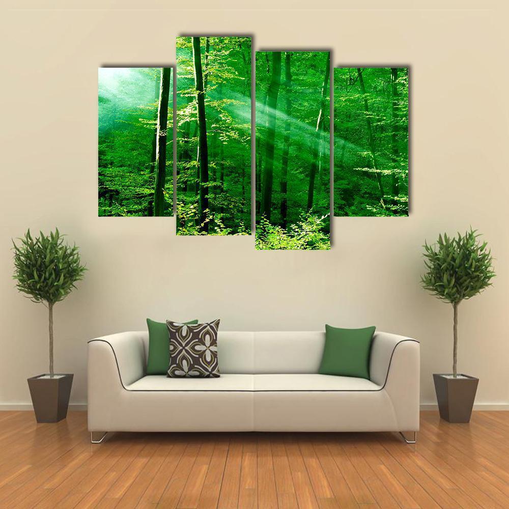 Lights Of The Forest Canvas Wall Art-4 Pop-Gallery Wrap-50" x 32"-Tiaracle