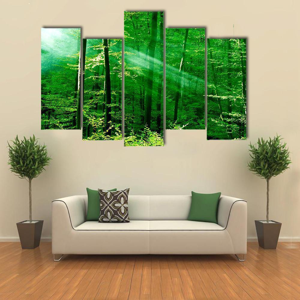 Lights Of The Forest Canvas Wall Art-5 Pop-Gallery Wrap-47&quot; x 32&quot;-Tiaracle
