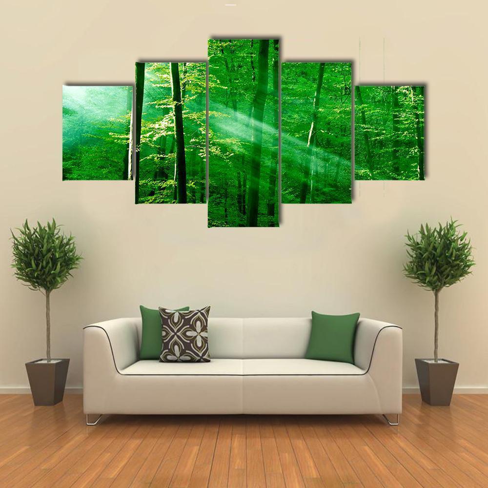 Lights Of The Forest Canvas Wall Art-5 Star-Gallery Wrap-62&quot; x 32&quot;-Tiaracle