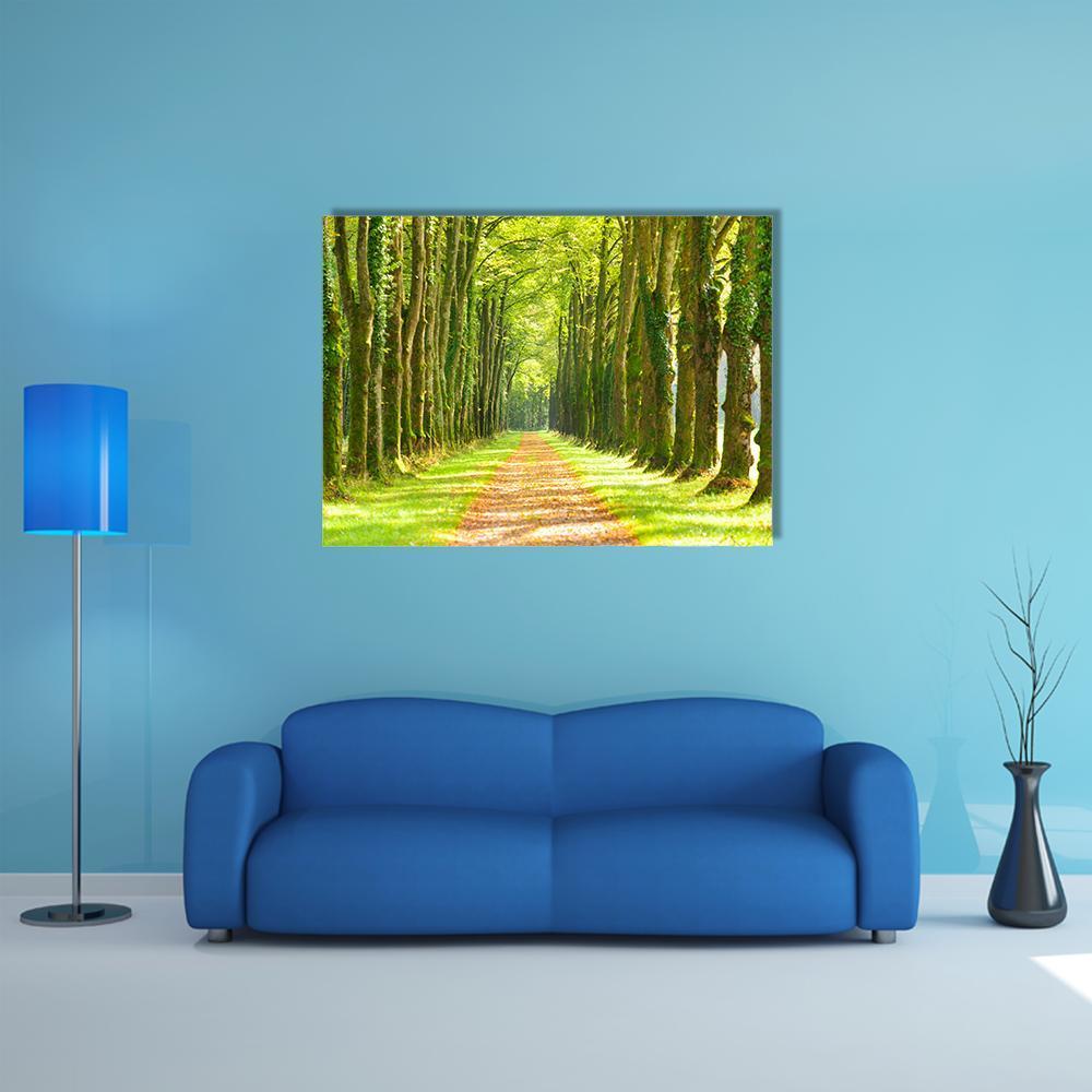 Linden Tree-lined Footpath Canvas Wall Art in brown, yellow and green, single panel hung on a wall
