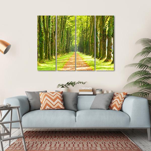 Linden Trees In Row & Footpath Canvas Wall Art-4 Horizontal-Gallery Wrap-34" x 24"-Tiaracle