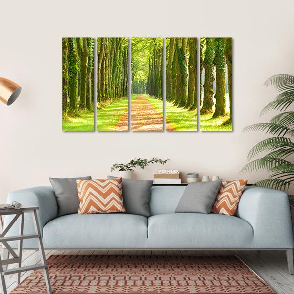 Linden Trees In Row &amp; Footpath Canvas Wall Art-5 Horizontal-Gallery Wrap-22" x 12"-Tiaracle