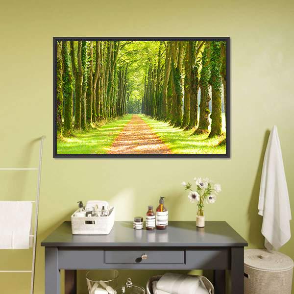Linden Trees In Row &amp; Footpath Canvas Wall Art-1 Piece-Floating Frame-24" x 16"-Tiaracle