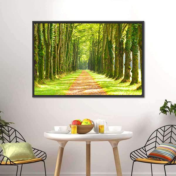 Linden Trees In Row &amp; Footpath Canvas Wall Art-3 Horizontal-Gallery Wrap-25" x 16"-Tiaracle