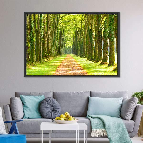 Linden Trees In Row &amp; Footpath Canvas Wall Art-3 Horizontal-Gallery Wrap-25" x 16"-Tiaracle