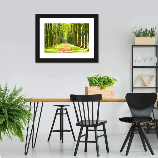 Linden Trees In Row & Footpath Canvas Wall Art-5 Horizontal-Gallery Wrap-22" x 12"-Tiaracle
