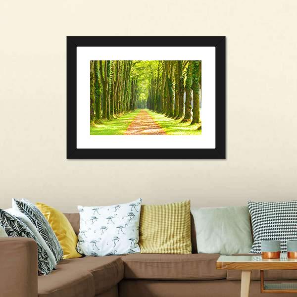Linden Trees In Row & Footpath Canvas Wall Art-5 Horizontal-Gallery Wrap-22" x 12"-Tiaracle