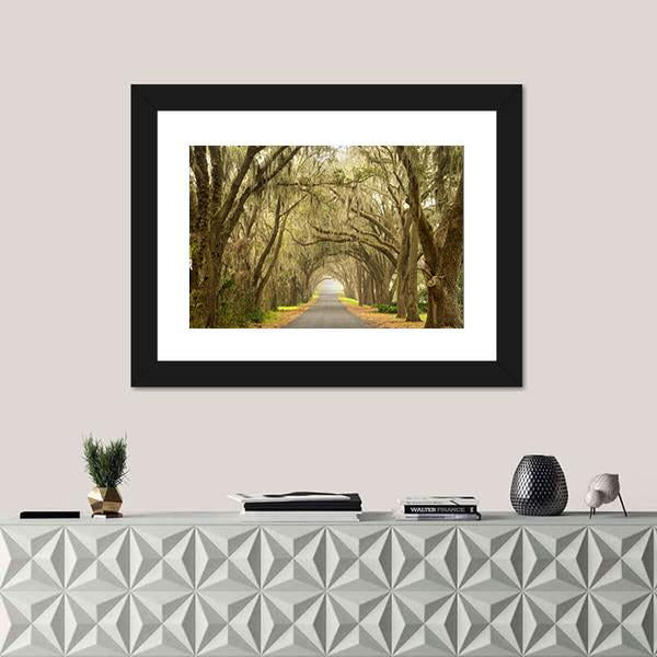 Lines Of Oak Trees Canvas Wall Art-1 Piece-Floating Frame-24" x 16"-Tiaracle