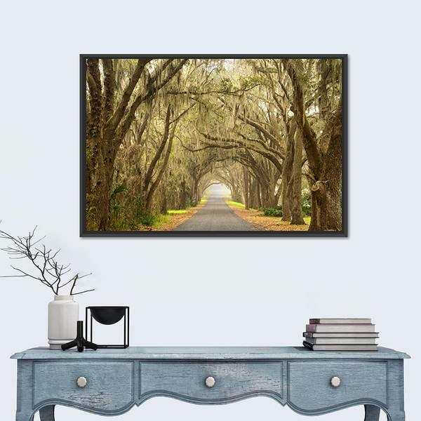 Lines Of Oak Trees Canvas Wall Art-1 Piece-Framed Print-20" x 16"-Tiaracle