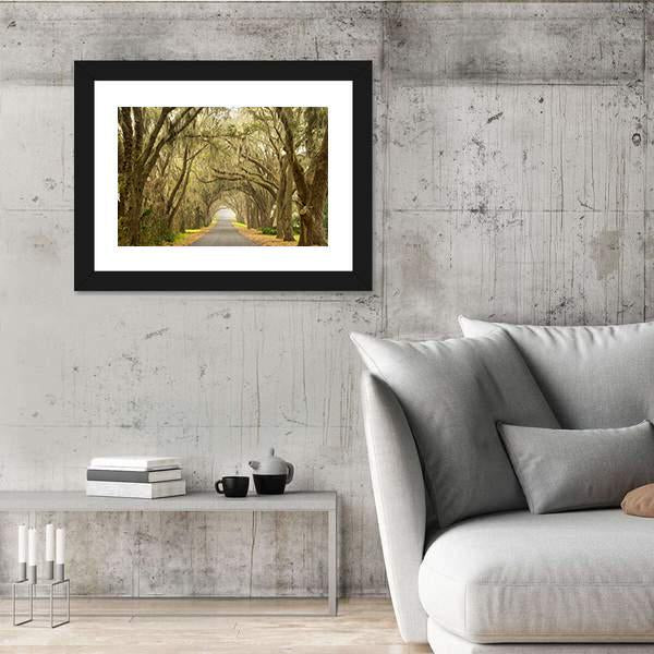 Lines Of Oak Trees Canvas Wall Art-5 Horizontal-Gallery Wrap-22" x 12"-Tiaracle