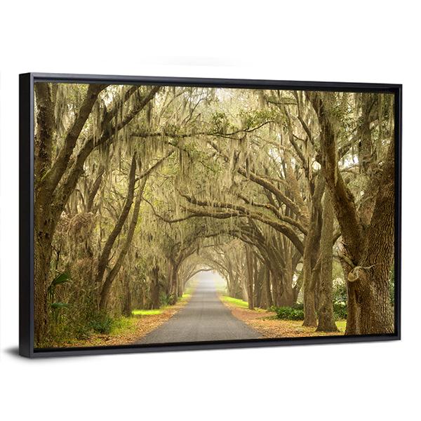 Lines Of Oak Trees Canvas Wall Art-1 Piece-Floating Frame-24" x 16"-Tiaracle