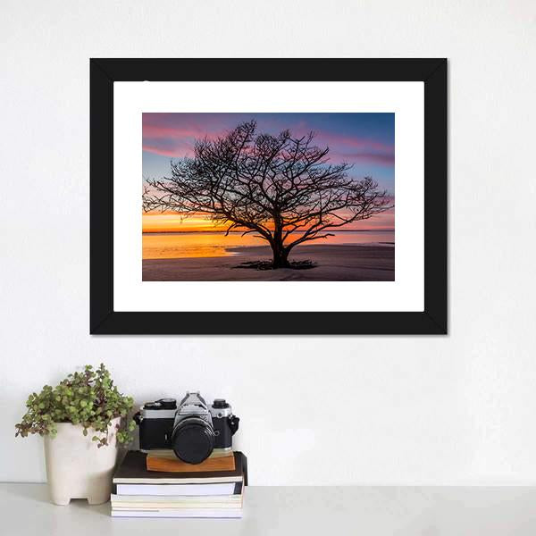 Live Oak Tree Georgoia Canvas Wall Art-1 Piece-Framed Print-42" x 14"-Tiaracle