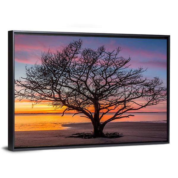 Live Oak Tree Georgoia Canvas Wall Art-3 Horizontal-Gallery Wrap-25" x 16"-Tiaracle