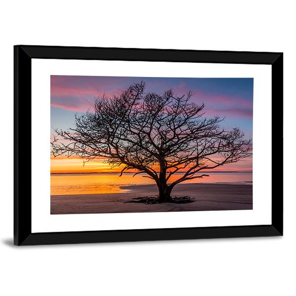 Live Oak Tree Georgoia Canvas Wall Art-5 Horizontal-Gallery Wrap-22" x 12"-Tiaracle