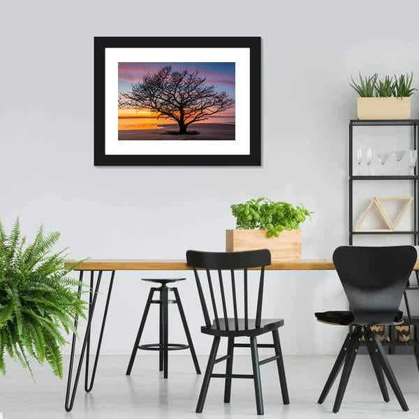 Live Oak Tree Georgoia Canvas Wall Art-5 Horizontal-Gallery Wrap-22" x 12"-Tiaracle
