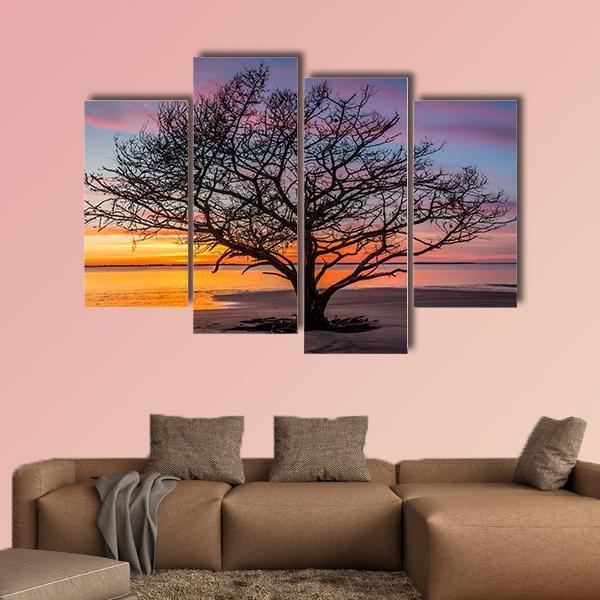 Live Oak Tree Georgoia Canvas Wall Art-4 Pop-Gallery Wrap-50" x 32"-Tiaracle